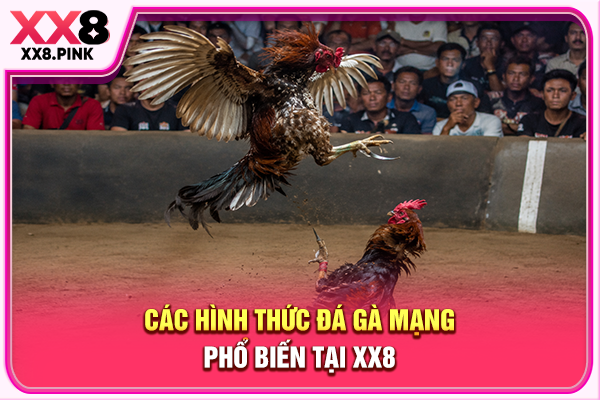 Các hình thức đá gà mạng phổ biến tại XX8