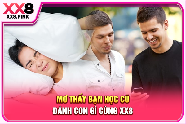 Mơ thấy bạn học cũ đánh con gì cùng XX8